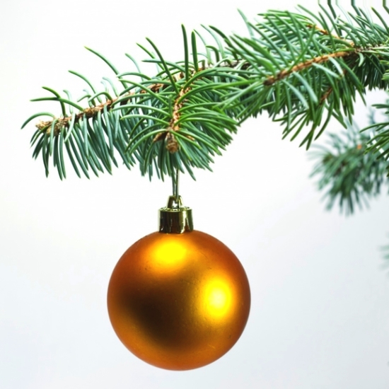 Привітання з Новим роком та Різдвом Христовим від Ігоря Карапейчика